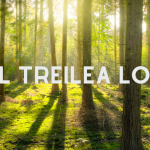 Al Treilea Loc - Dianathema.ro