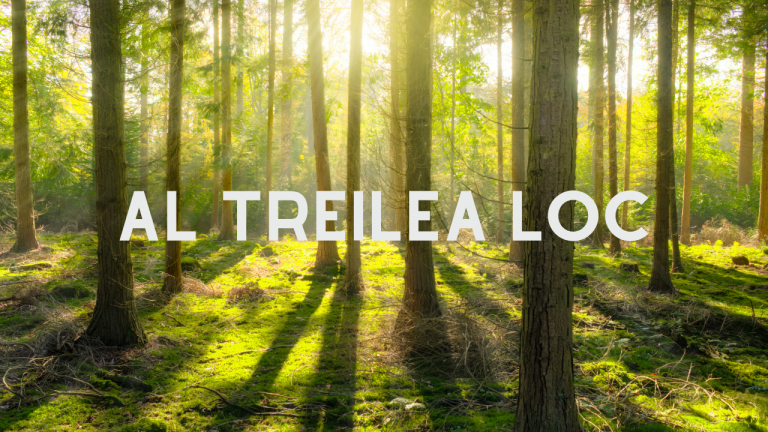 Al Treilea Loc - Dianathema.ro